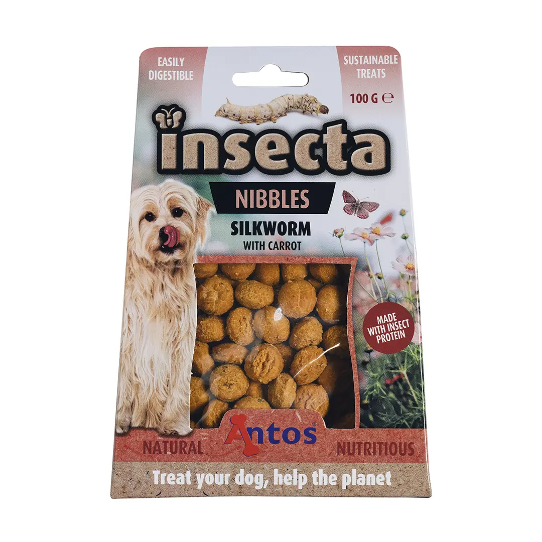 20.093 Insecta Nibbles Silkworm front